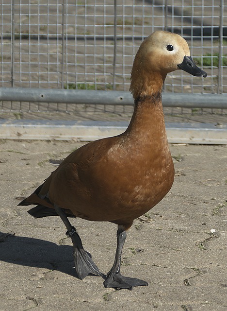 现来看