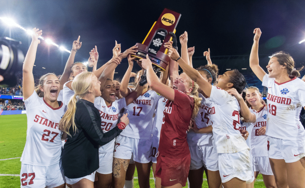 這一舉措頗 這一舉措頗